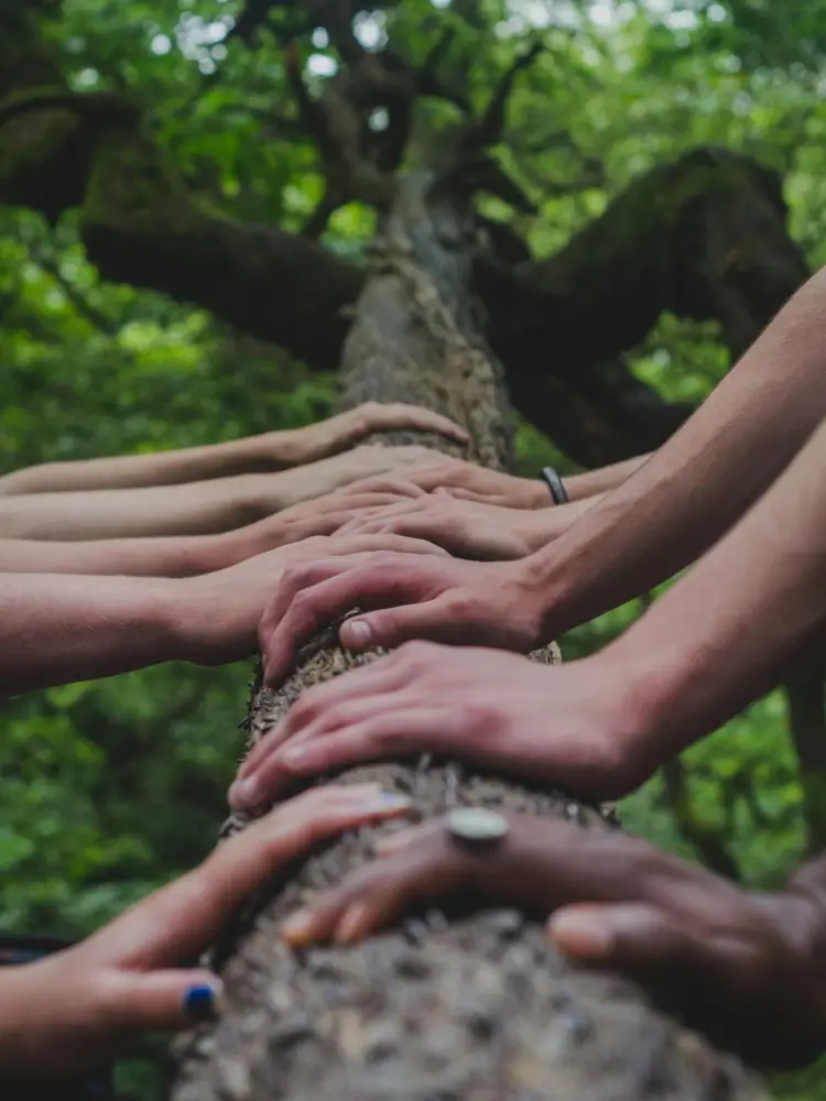 A tree trunk with many hands holding onto it